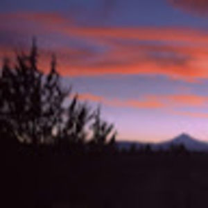 Meet your Posher, Daphne